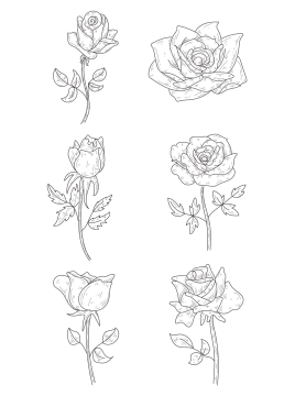 how to draw roses step by step