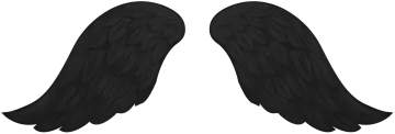 two black wings on a white background