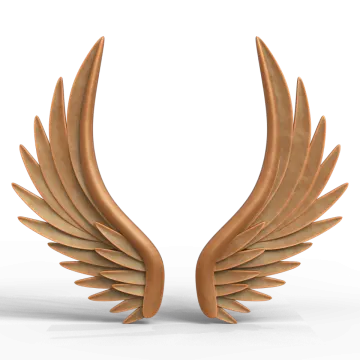 a pair of wings on a white background