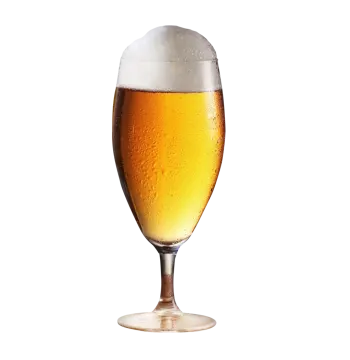 a glass of beer on a white background