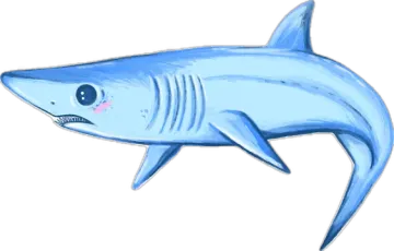 a drawing of a shark