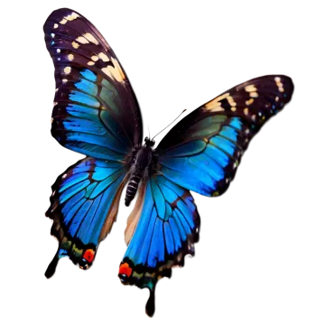 a blue butterfly flying in the air