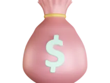 a pink bag with a dollar sign on it