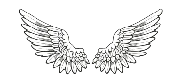 a pair of wings