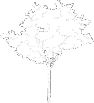 free printable tree coloring pages