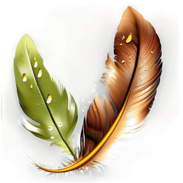 two feathers on a white background