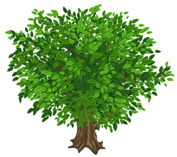 a green tree on a white background