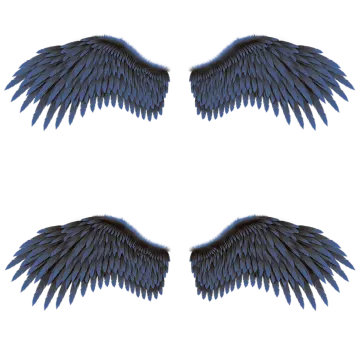 a set of three wings on a white background