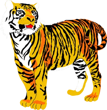 a drawing of a tiger on a white background