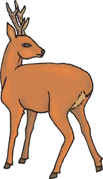 a deer with ant ants on its head