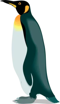 a penguin standing in front of a white background