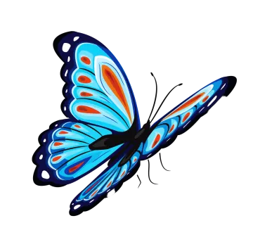 a blue butterfly on a white background