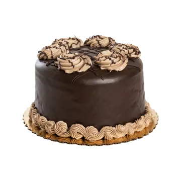 a chocolate cake on a white background