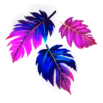 three colorful feathers on a white background