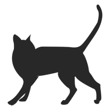 a black cat silhouetted on a white background