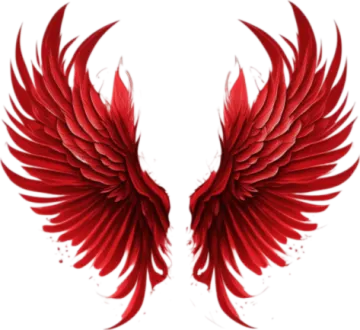 a pair of red wings