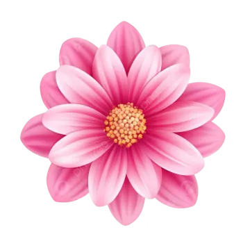 a pink flower on white background