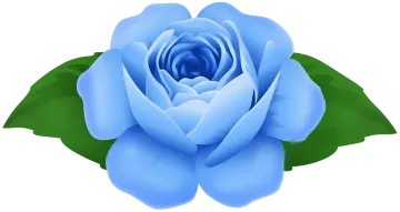 a blue rose with green leaves