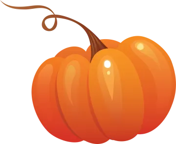 a pumpkin on a white background