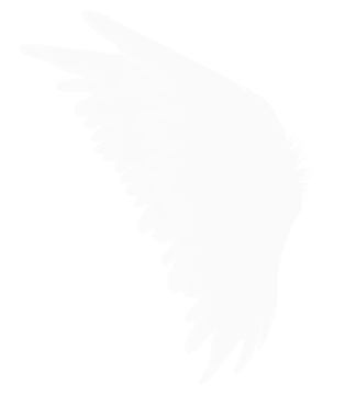 a black and white angel wing