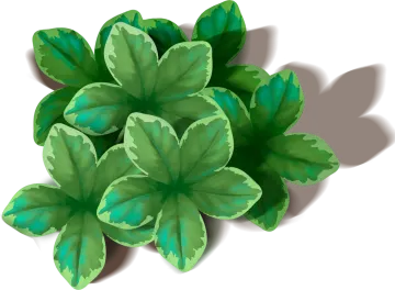 three green leaves on a white background