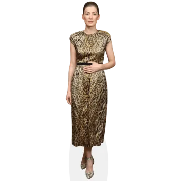 a woman in a leopard print dress