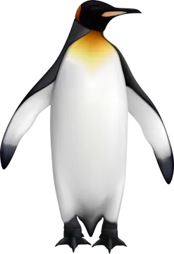 an image of a penguin on a white background