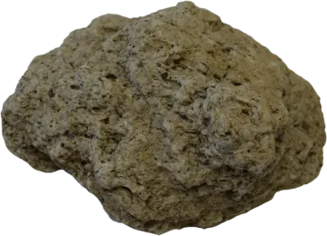 a rock on a white background
