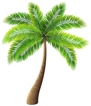 a palm tree with green leaves