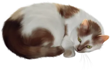 a brown and white cat with green eyes