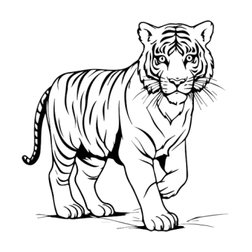 a black and white drawing of a tiger