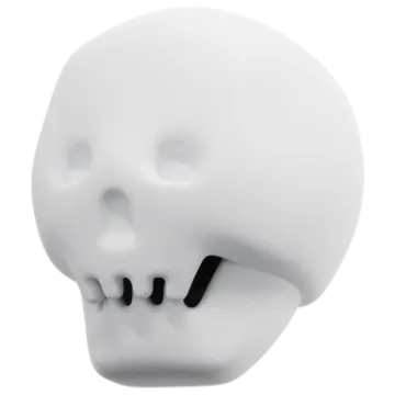 a white skull with a black nose