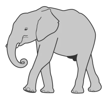 an elephant standing on a white background