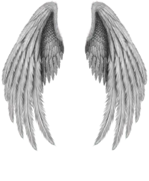 a pair of black and white wings on a white background