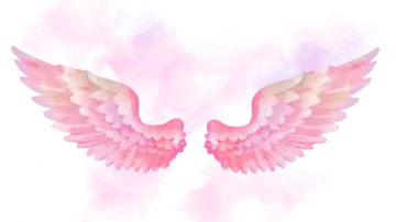 two pink wings on a white background