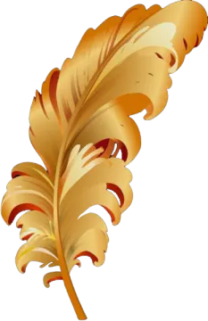 a golden feather on a white background