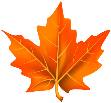 an orange maple leaf