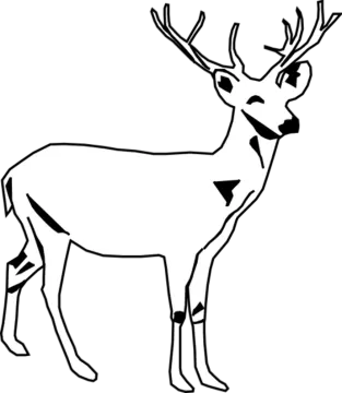a black and white drawing of a deer