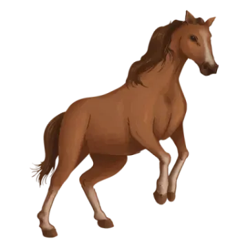 a brown horse running on a white background