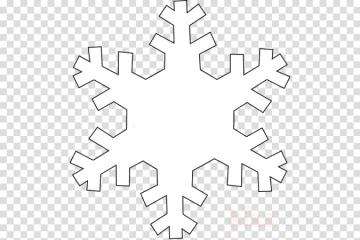 a snowflaker on a transparent background