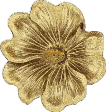a gold flower on a white background