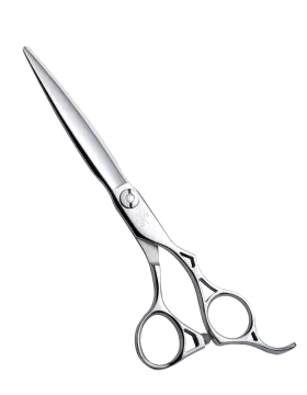a pair of scissors on a white background