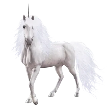 a white unicorn standing on its hinds