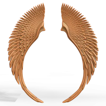 a pair of wings on a white background