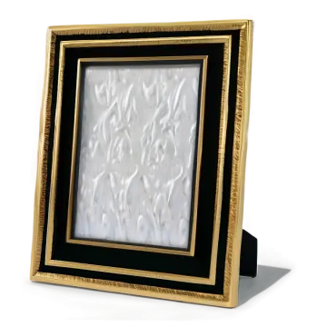 a black and gold frame on a white background