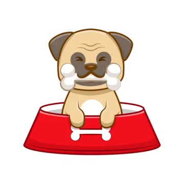 a dog sitting on top of a red bowl