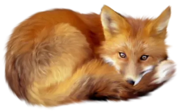 a drawing of a dog with long hair