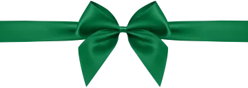 a green bow on a white background