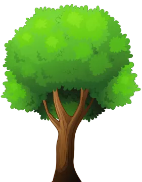 a green tree on a white background