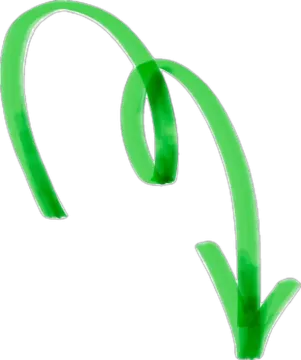 a pair of green plastic hair ties